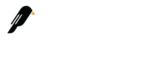 Blackbird Media